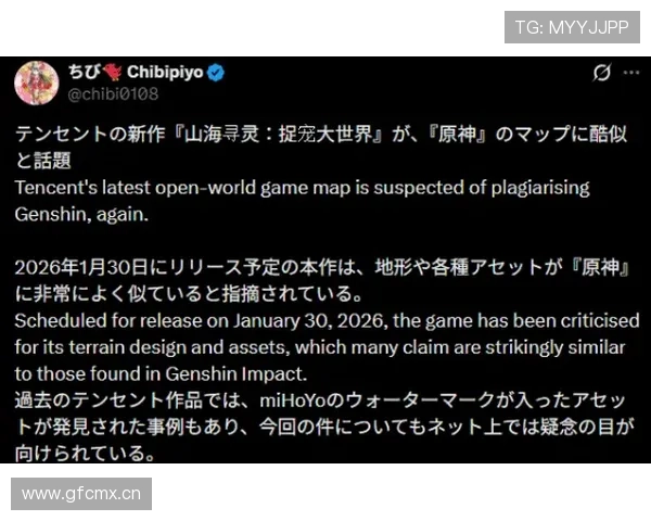 外网慢放对比安娃梅总正手玄机